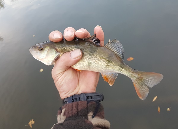 20171025_011.jpg