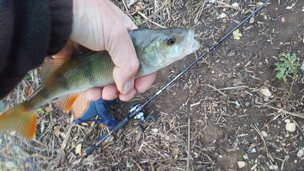 20171029_001.jpg