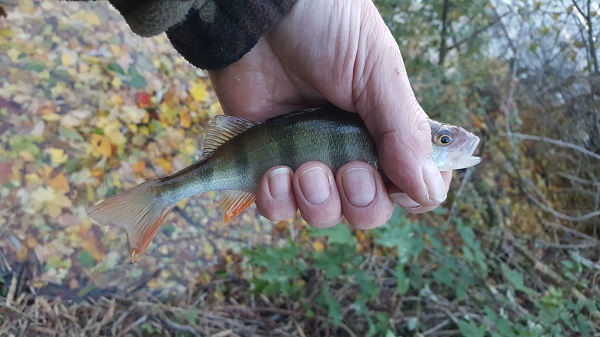 20171029_003.jpg
