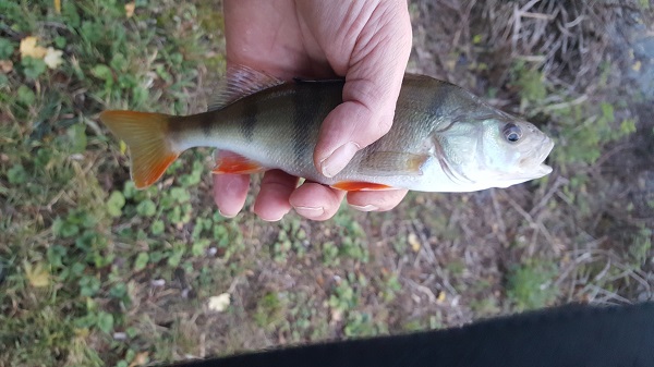 20171029_002.jpg