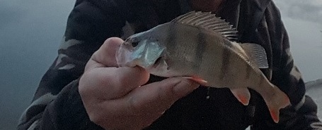 20171104_005- .jpg