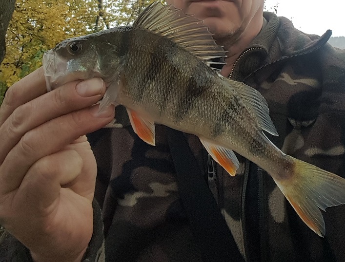 20171105_01.jpg