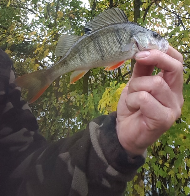20171105_002.jpg