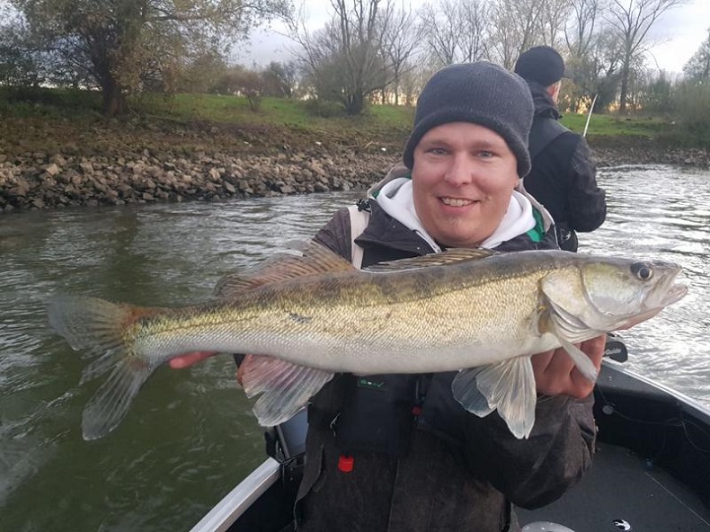 Zander am Fluss.jpg