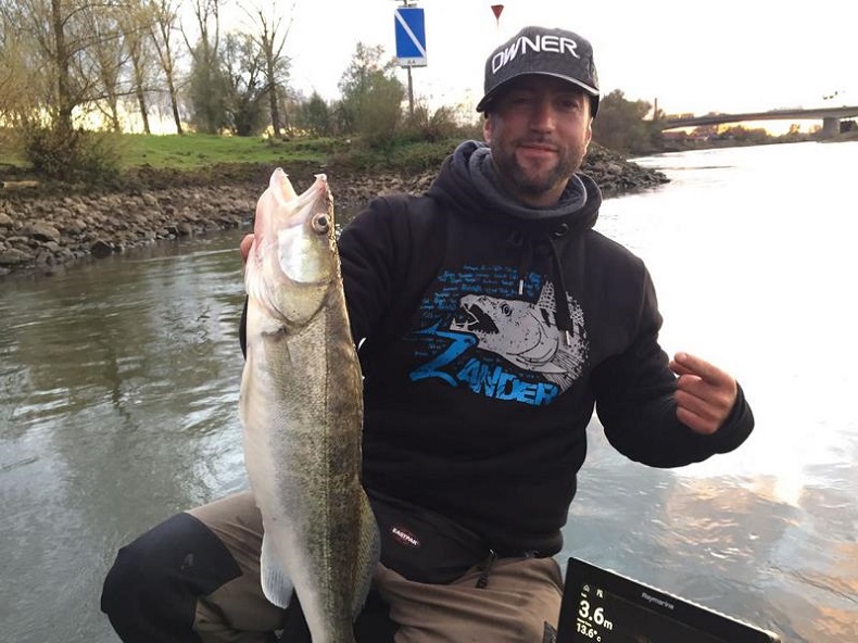 Zander am Fluss 2.jpg