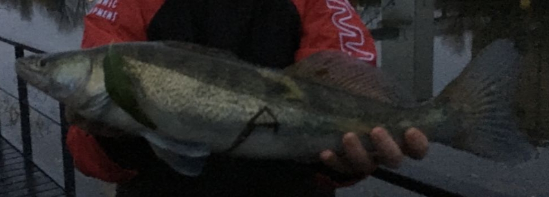 20171112_114711.jpg