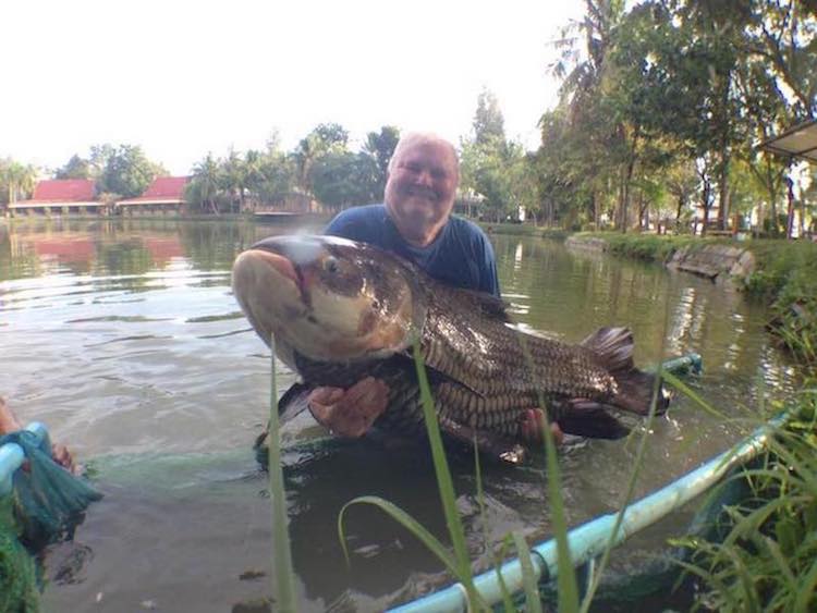 Cham Fishingpark.jpg