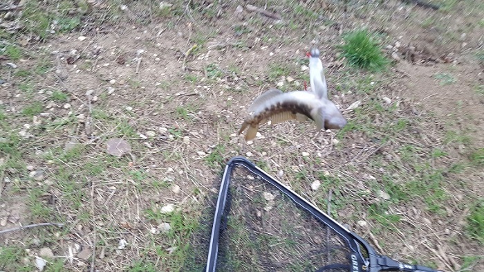 20180315_ Kopie.jpg