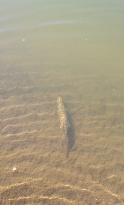 20180402_01.jpg