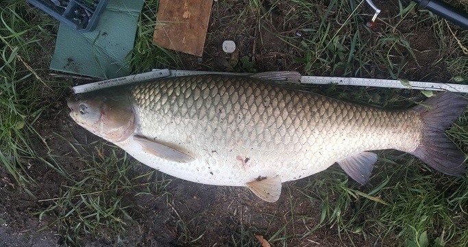 20180603_06.jpg