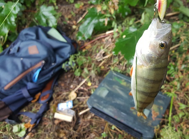 20180705_01.jpg