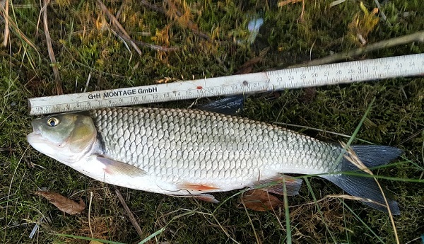 20180723_01.jpg
