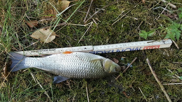 20180723_02.jpg
