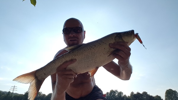 20180727_182421.jpg