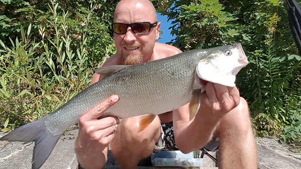 20180730_175352.jpg
