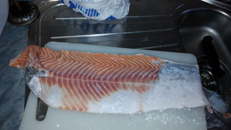 20151128_110911k.jpg