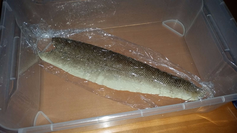 20151127_160741k.jpg