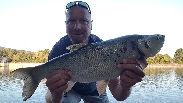 20180908_075302.jpg
