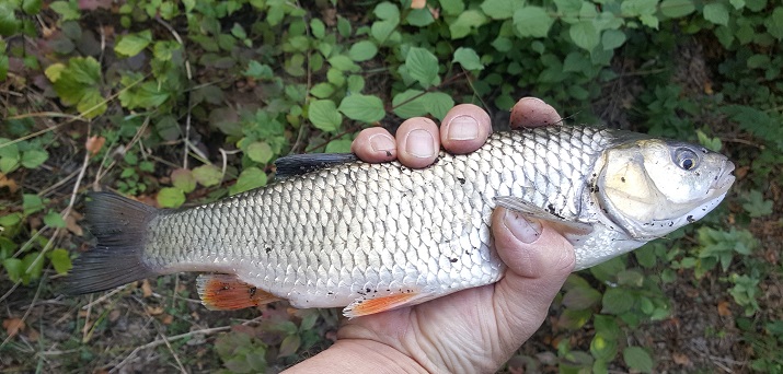 20180915_03.jpg