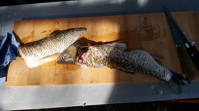 20180916_02.jpg