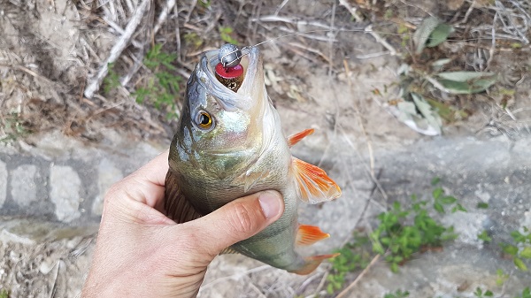 20180918_184025.jpg