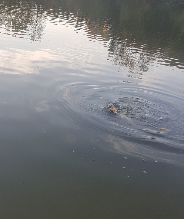 20180921_01.jpg