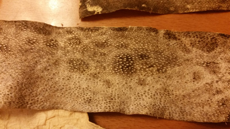 20151220_183422k.jpg