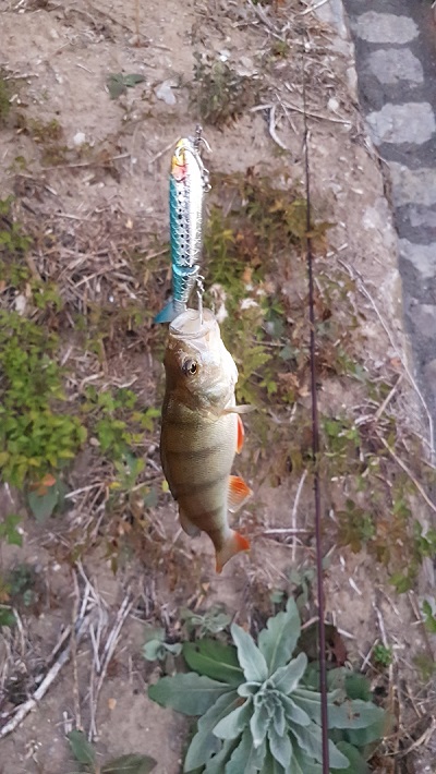 20180930_070916.jpg