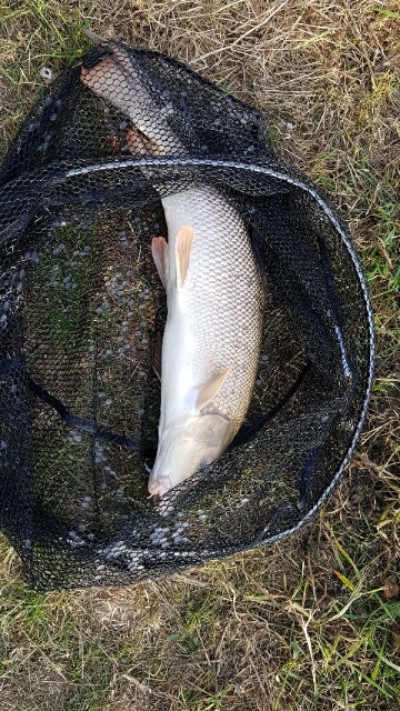 IMG-20181017-WA0003-480x853-360x640.jpeg