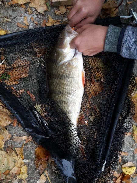 IMG_3678.JPG