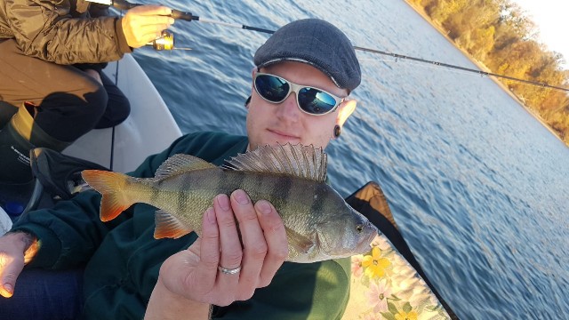 IMG-20181111-WA0017-640x360.jpg