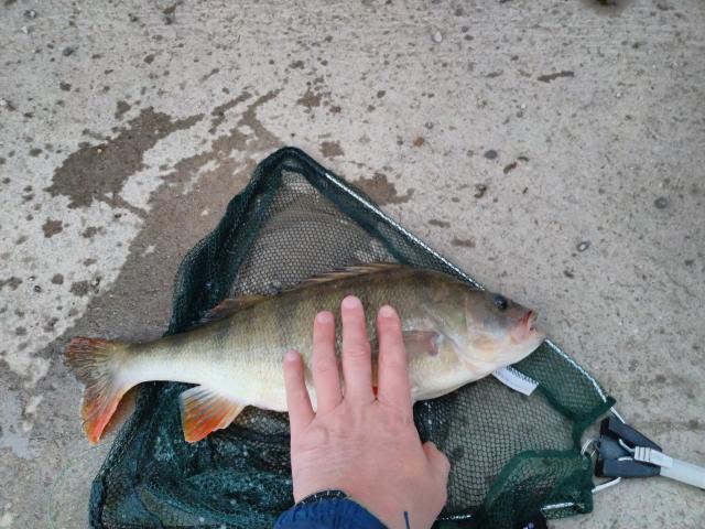 20181202_161222_HDR.jpg