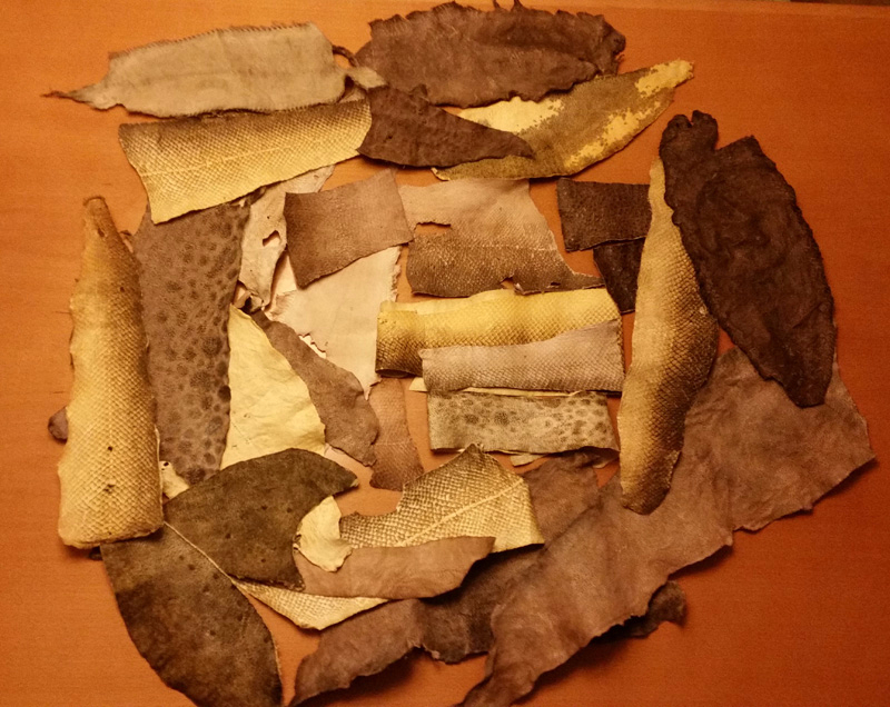 Fischleder-Lachsleder.jpg