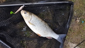 20190328_175925.jpg