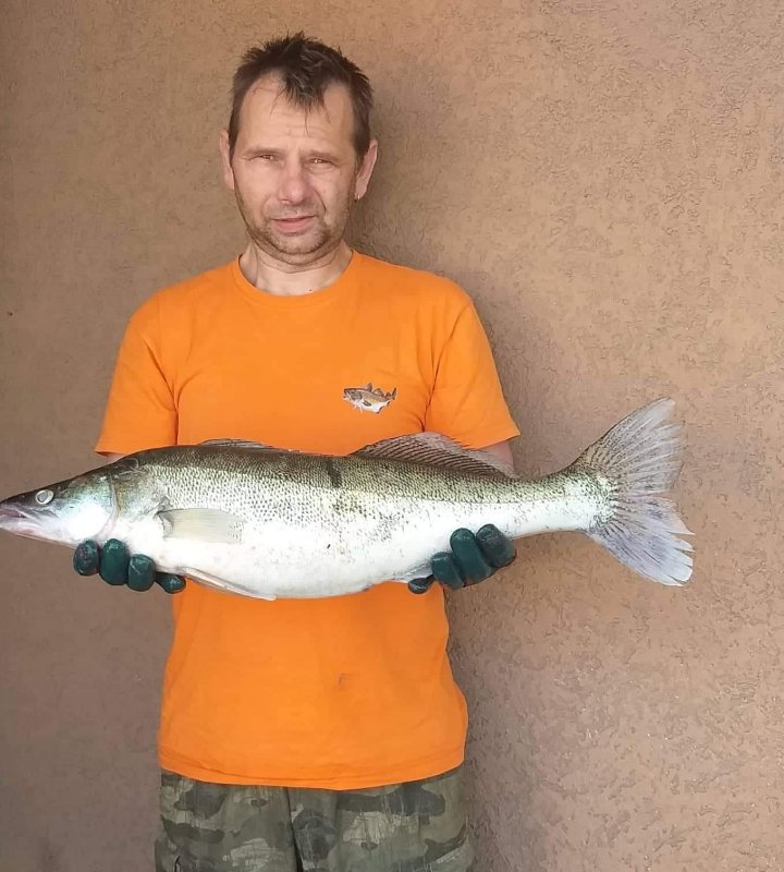 73 cm.,3,5 kg.