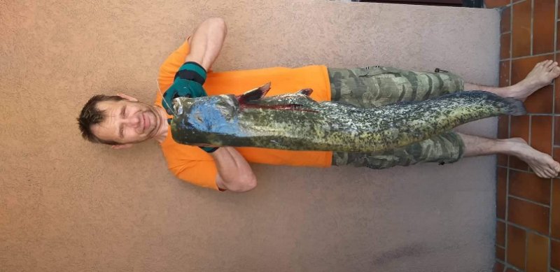 105 cm.,11 kg.