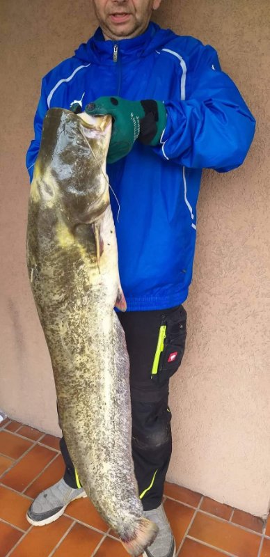 110 cm. 22 Pfund