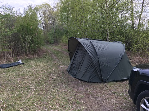Fox Royal 2 men seitlich