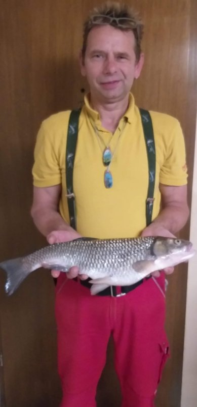 50 cm. 1870 gr.
