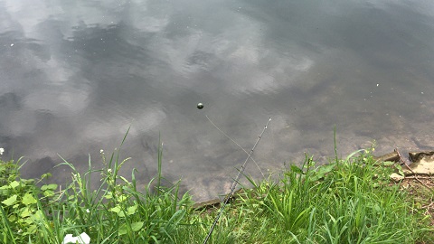 Deeper im Wasser an der Zanderrute