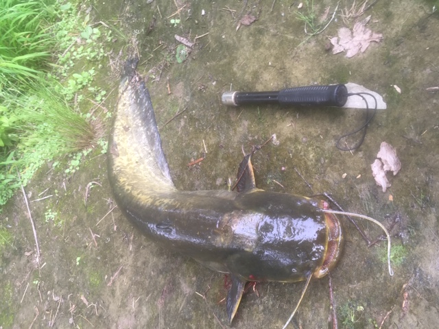 image0.jpeg