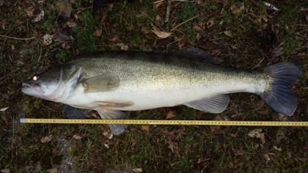 20160225_174141.jpg