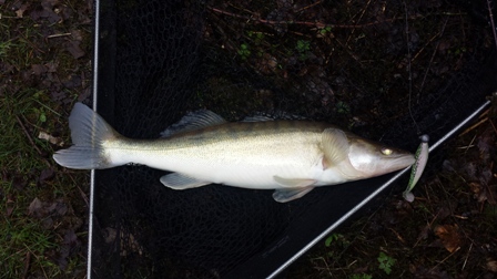 20160303_153349.jpg