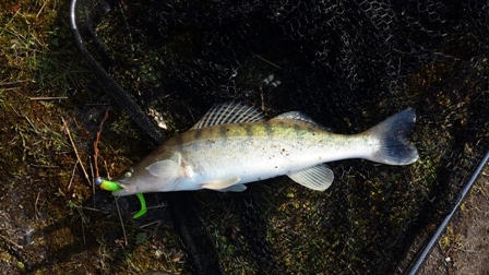 20160307_160234.jpg