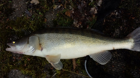 20160307_172557.jpg