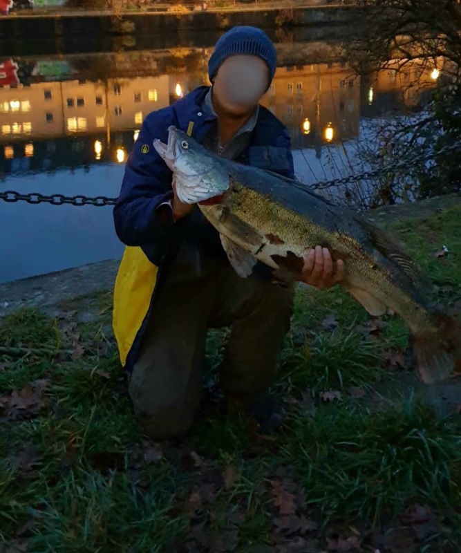 Zander.jpg