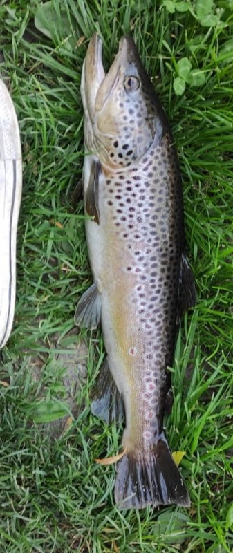 IMG_20210601_232820.jpg