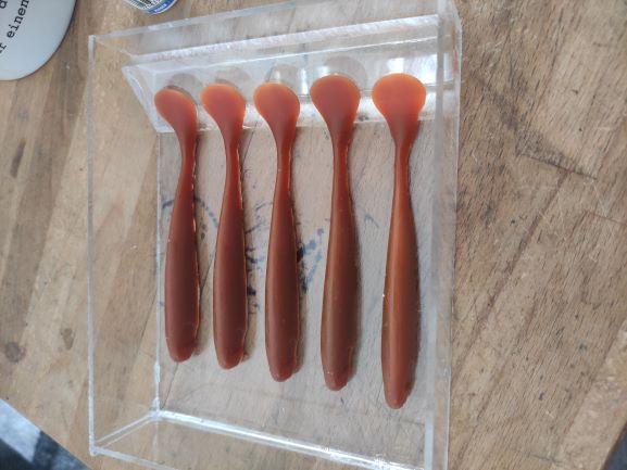 Plexi Form fische.jpg