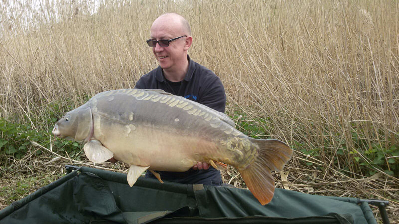 Steff 16,5 Kg