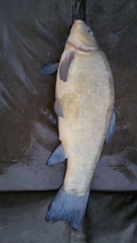 Etang009.JPG